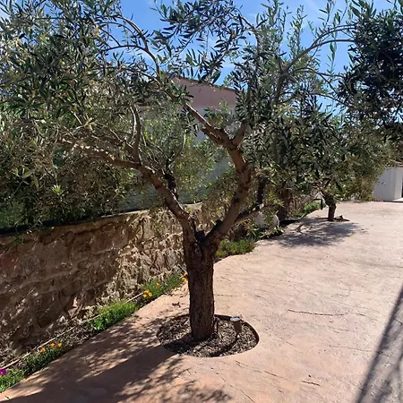 Nocleg ze śniadaniem Teresa Oschiri